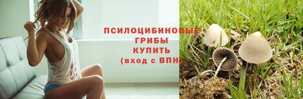первитин Лагань